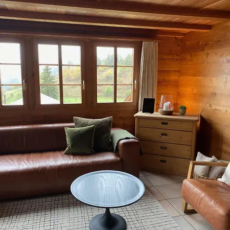 Appartement Ferienwohnung Bircha 